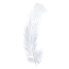 Marabou Feathers 4-6in White