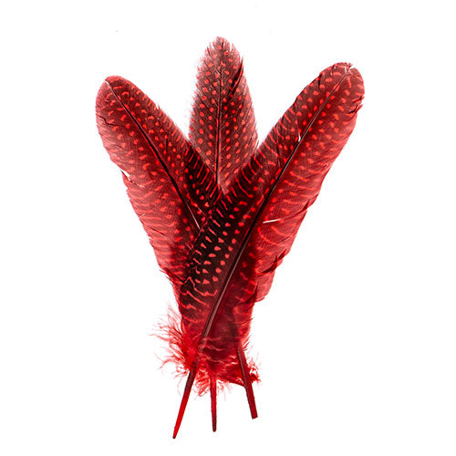 Guinea Fowl Quill 6-9in Red