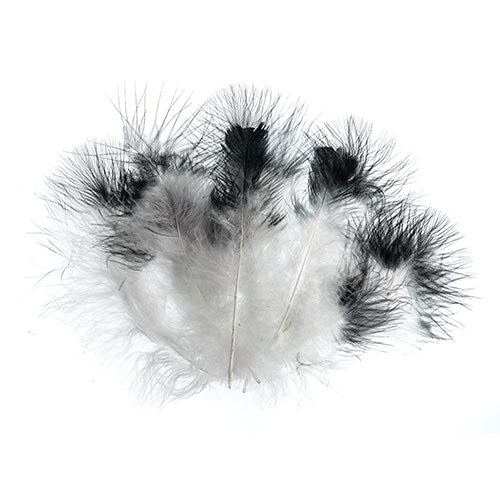 Marabou Feathers 4-6in Wht/Black