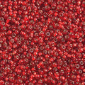 Czech Seed Beads 10/0 S/L Light Red 500g