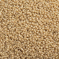 Miyuki Seed Bead 15/0 apx 22g Frosted Glazed/ Rainbow Pearl Matte AB