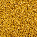 Miyuki Seed Bead 15/0 apx 22g Frosted Glazed/ Rainbow Yellow Matte AB