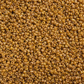 Miyuki Seed Bead 15/0 apx 22g Frosted Glazed/ Rainbow Yellow Mustard Matte AB
