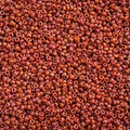 Miyuki Seed Bead 15/0 apx 22g Frosted Glazed/ Rainbow Pink Fuchsia Matte AB