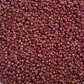 Miyuki Seed Bead 15/0 apx 22g Frosted Glazed/ Rainbow Pink Rosewood Matte AB