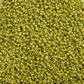 Miyuki Seed Bead 15/0 apx 22g Frosted Glazed/ Rainbow Green Lime Matte AB
