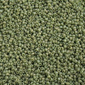Miyuki Seed Bead 15/0 apx 22g Frosted Glazed/ Rainbow Green Shamrock Matte AB