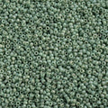 Miyuki Seed Bead 15/0 apx 22g Frosted Glazed/ Rainbow Green Mint Matte AB