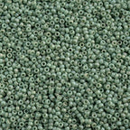 Miyuki Seed Bead 15/0 apx 22g Frosted Glazed/ Rainbow Green Mint Matte AB