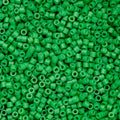 Cylin Bead 11/0 25g Bag Green Kelly