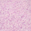 Cylin Bead 11/0 25g Bag Matte Macaron AB - Lilac Frost