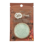 Cylin Bead 11/0 25g Bag Matte Macaron - Pale Seafoam